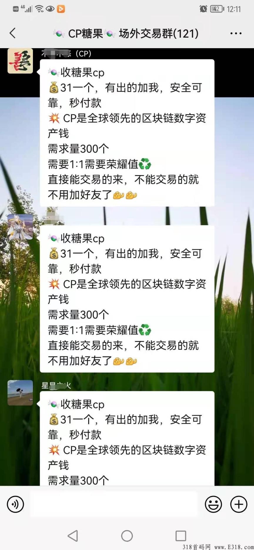 CP钱包，又名CP糖果币_首码项目网