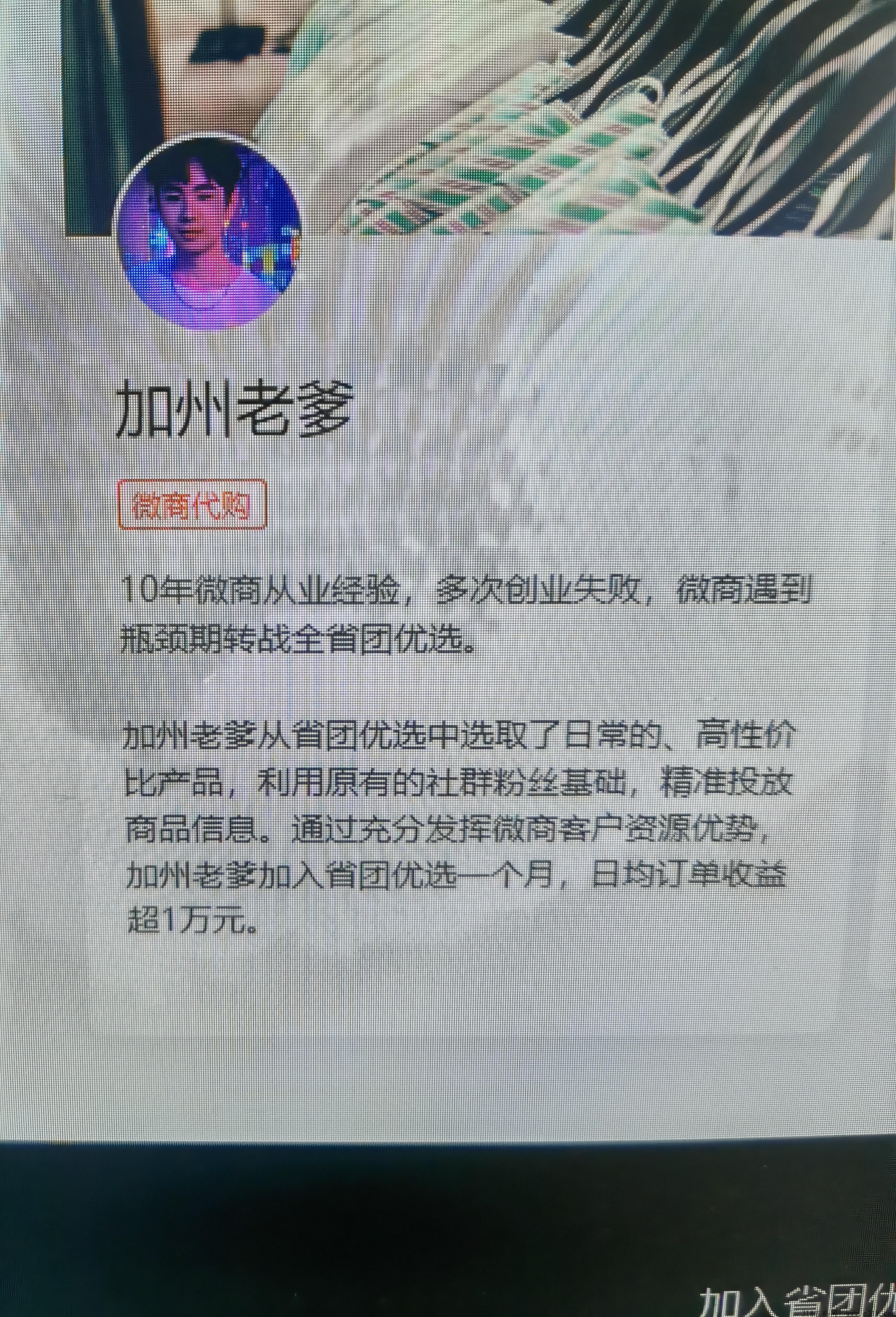 省团优选口令怎么填？邀请码怎么填？